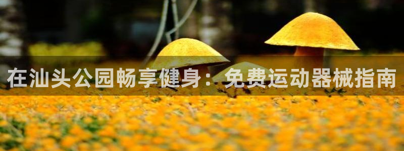 凯时app赢AG发财网来就送38：在汕头公园畅享健身