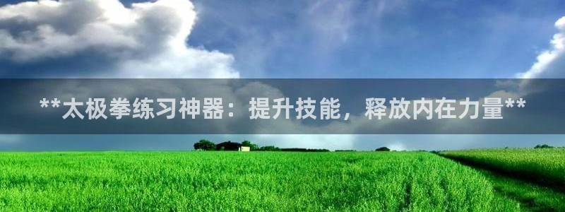 尊龙凯时提不了款：**太极拳练习神器：提升技能，释放
