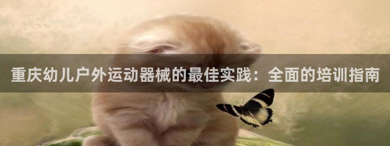 尊龙凯时电竞：重庆幼儿户外运动器械的最佳实践：全面的