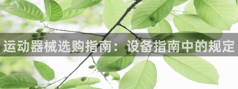 凯时kb88kb88：运动器械选购指南：设备指南中的