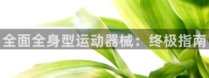 尊龙凯时平台还是万搏好：全面全身型运动器械：终极指南