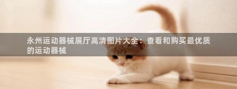 尊龙凯时人生就是搏!官网：永州运动器械展厅高清图片大