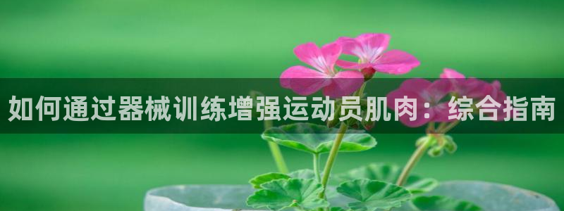 凯时官网的售后服务：如何通过器械训练增强运动员肌肉：