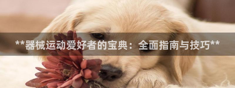 尊龙手机官方客户端下载安装：**器械运动爱好者的宝典