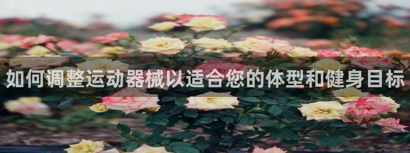 尊龙百度百科：如何调整运动器械以适合您的体型和健身目