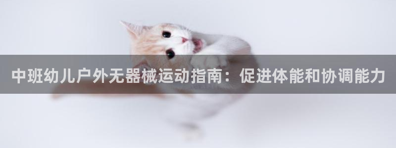 尊龙凯时网娱乐最新版下载：中班幼儿户外无器械运动指南