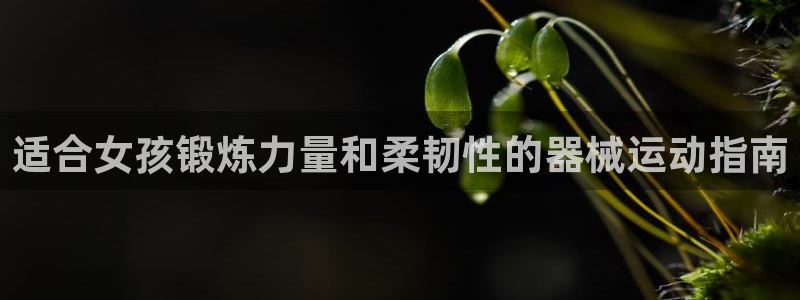尊龙目前情况：适合女孩锻炼力量和柔韧性的器械运动指南