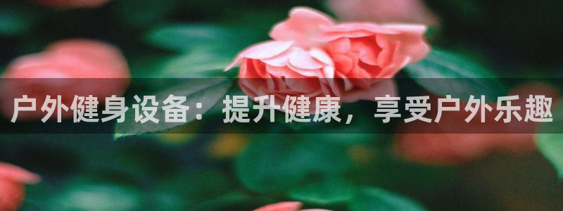凯时K66最新版本下载：户外健身设备：提升健康，享受
