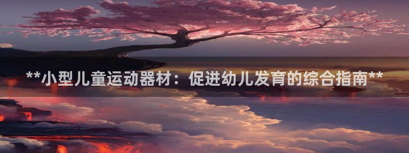 尊龙app认可ag发财网：**小型儿童运动器材：促进