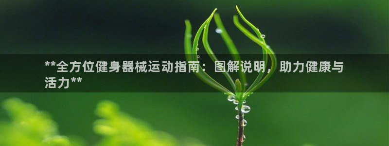 凯时国际app登录：**全方位健身器械运动指南：图解