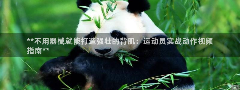 凯时app官网首页：**不用器械就能打造强壮的背肌：