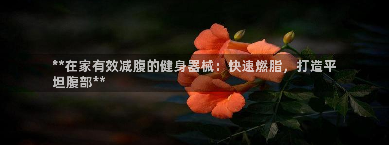 尊龙新版app首页：**在家有效减腹的健身器械：快速