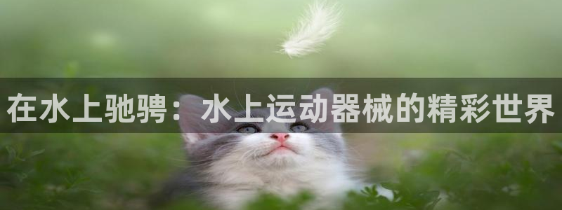 尊龙凯时代理能提出来不：在水上驰骋：水上运动器械的精