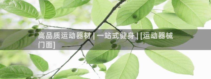 尊龙电子：高品质运动器材 | 一站式健身 | [运动