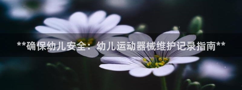 ag尊龙怎么样：**确保幼儿安全：幼儿运动器械维护记