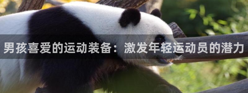 尊龙官网国际：男孩喜爱的运动装备：激发年轻运动员的潜