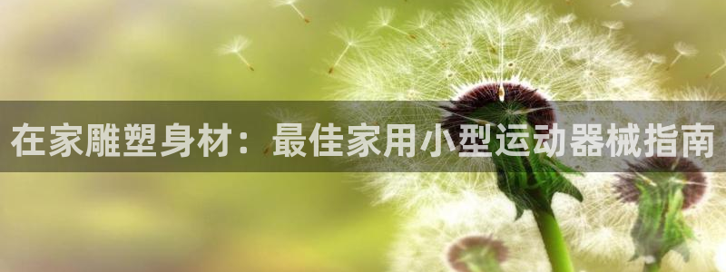 尊龙长相评价：在家雕塑身材：最佳家用小型运动器械指南