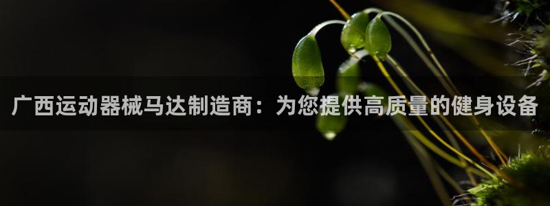 尊龙凯时：广西运动器械马达制造商：为您提供高质量的健