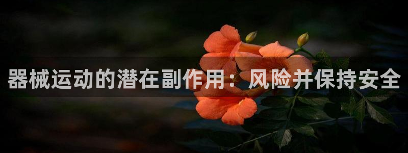 凯时游戏app：器械运动的潜在副作用：风险并保持安全