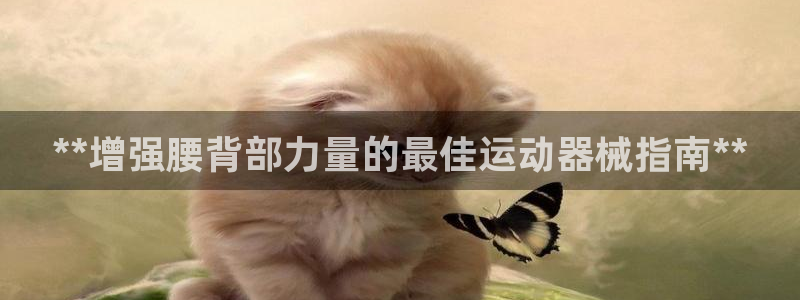 尊龙d88官网登录：**增强腰背部力量的最佳运动器械