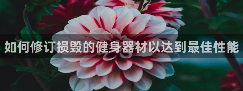 尊龙凯时官网首页：如何修订损毁的健身器材以达到最佳性