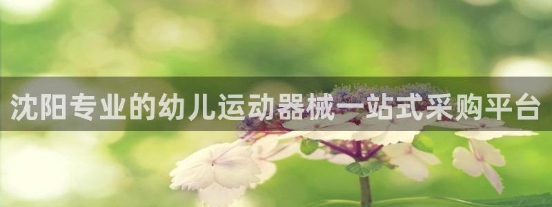 凯时网上官方网站：沈阳专业的幼儿运动器械一站式采购平