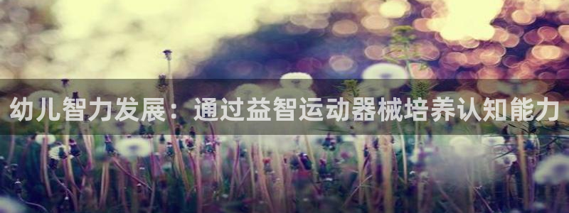 尊龙凯时老板：幼儿智力发展：通过益智运动器械培养认知