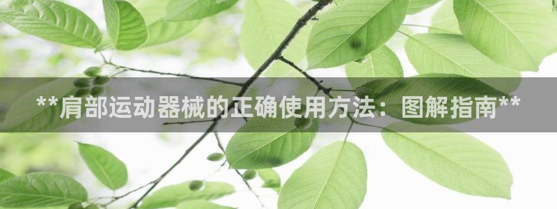 尊龙凯时官方下载：**肩部运动器械的正确使用方法：图