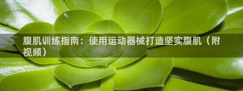 尊龙凯时人生就博官网登录：腹肌训练指南：使用运动器械