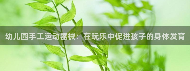 凯时登录：幼儿园手工运动器械：在玩乐中促进孩子的身体发育