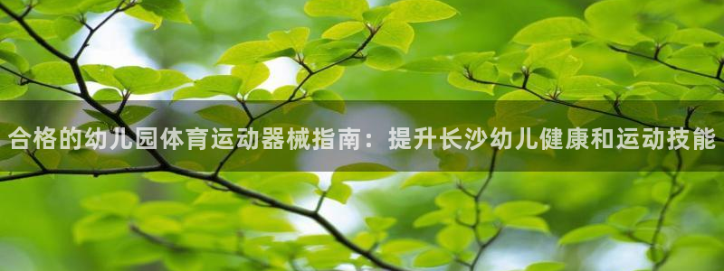 尊龙新版登录网址下载：合格的幼儿园体育运动器械指南：