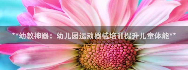 尊龙凯时下载官方正版：**幼教神器：幼儿园运动器械培训提升儿