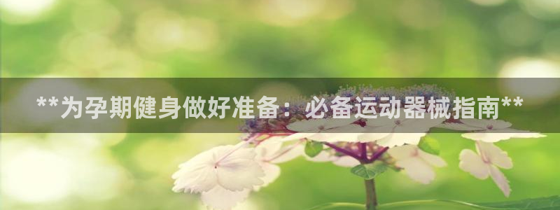尊龙网站下分慢：**为孕期健身做好准备：必备运动器械