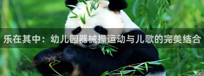 尊龙网站手机下载