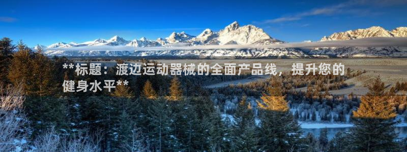 尊龙凯时人生就是搏官：**标题：渡边运动器械的全面产