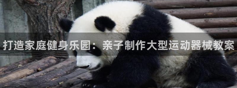 z6尊龙凯时官方：打造家庭健身乐园：亲子制作大型运动