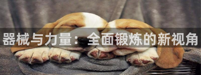 尊龙现金一下S选来就送38