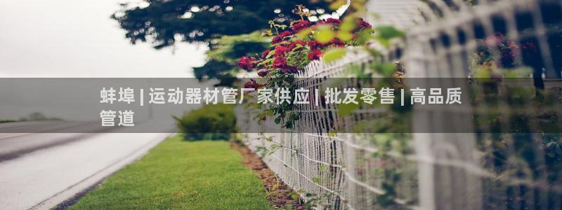 尊龙凯时 - 人生就是搏手机登录：蚌埠 | 运动器材