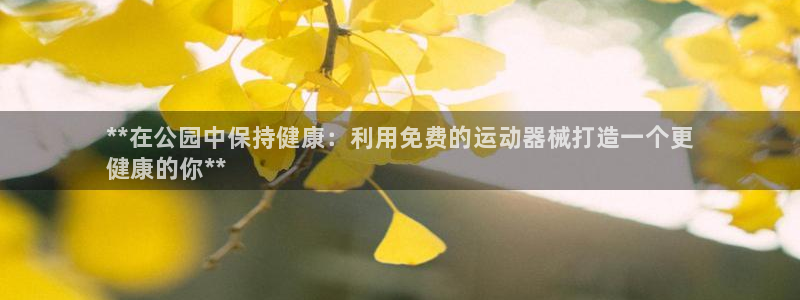 凯时国际娱乐官方网址：**在公园中保持健康：利用免费的运动器