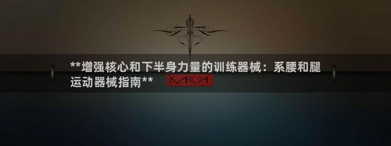 尊龙凯时官网平台：**增强核心和下半身力量的训练器械