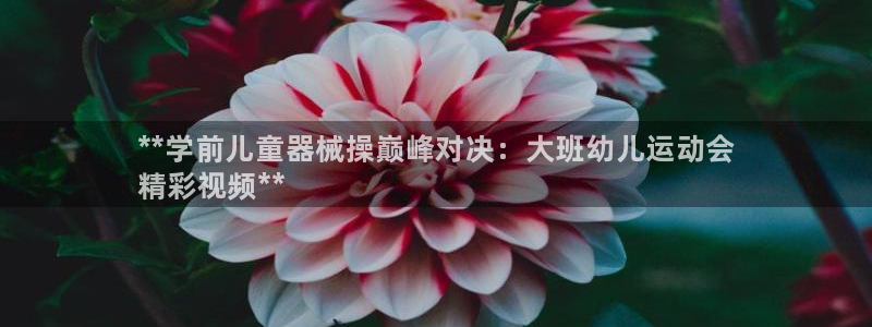 尊龙登录首页：**学前儿童器械操巅峰对决：大班幼儿运