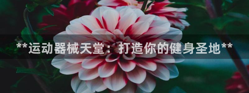 Z6尊龙官网入口