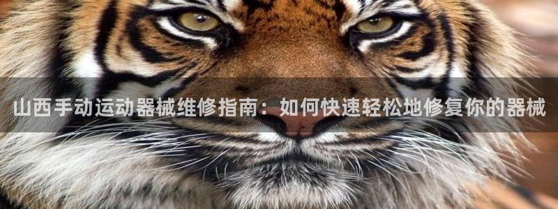 尊龙凯时平台信誉怎样：山西手动运动器械维修指南：如何