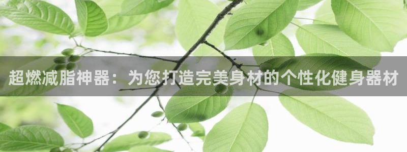 尊龙 ag：超燃减脂神器：为您打造完美身材的个性化健