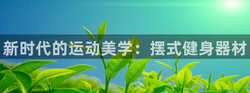 z6com尊龙凯时：新时代的运动美学：摆式健身器材