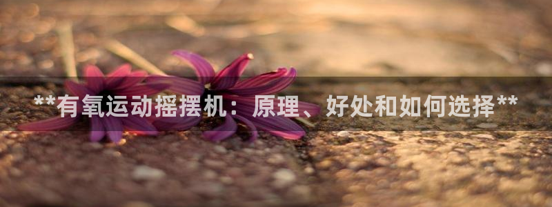 尊龙官方网站首页：**有氧运动摇摆机：原理、好处和如何选择*