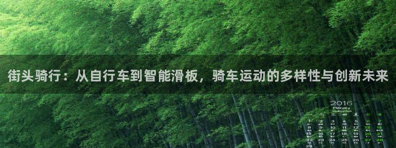 凯时k66娱乐登录：街头骑行：从自行车到智能滑板，骑